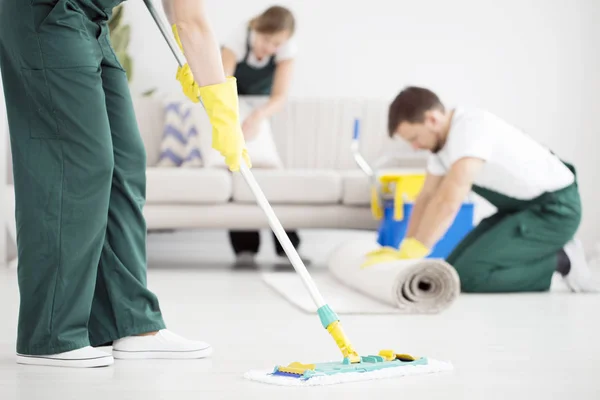 Townsley Cleaner, Elmont, NY